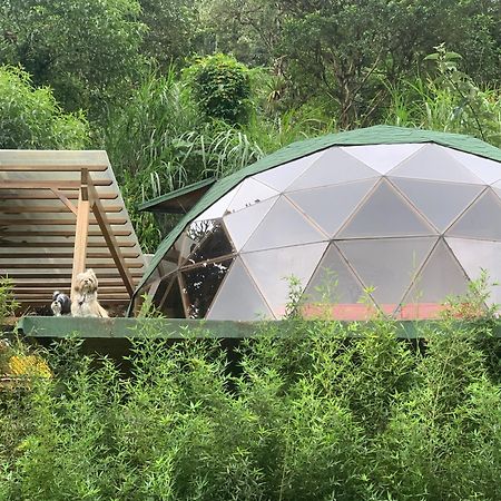 Magic Elf Glamping Apartment Mindo Exterior foto