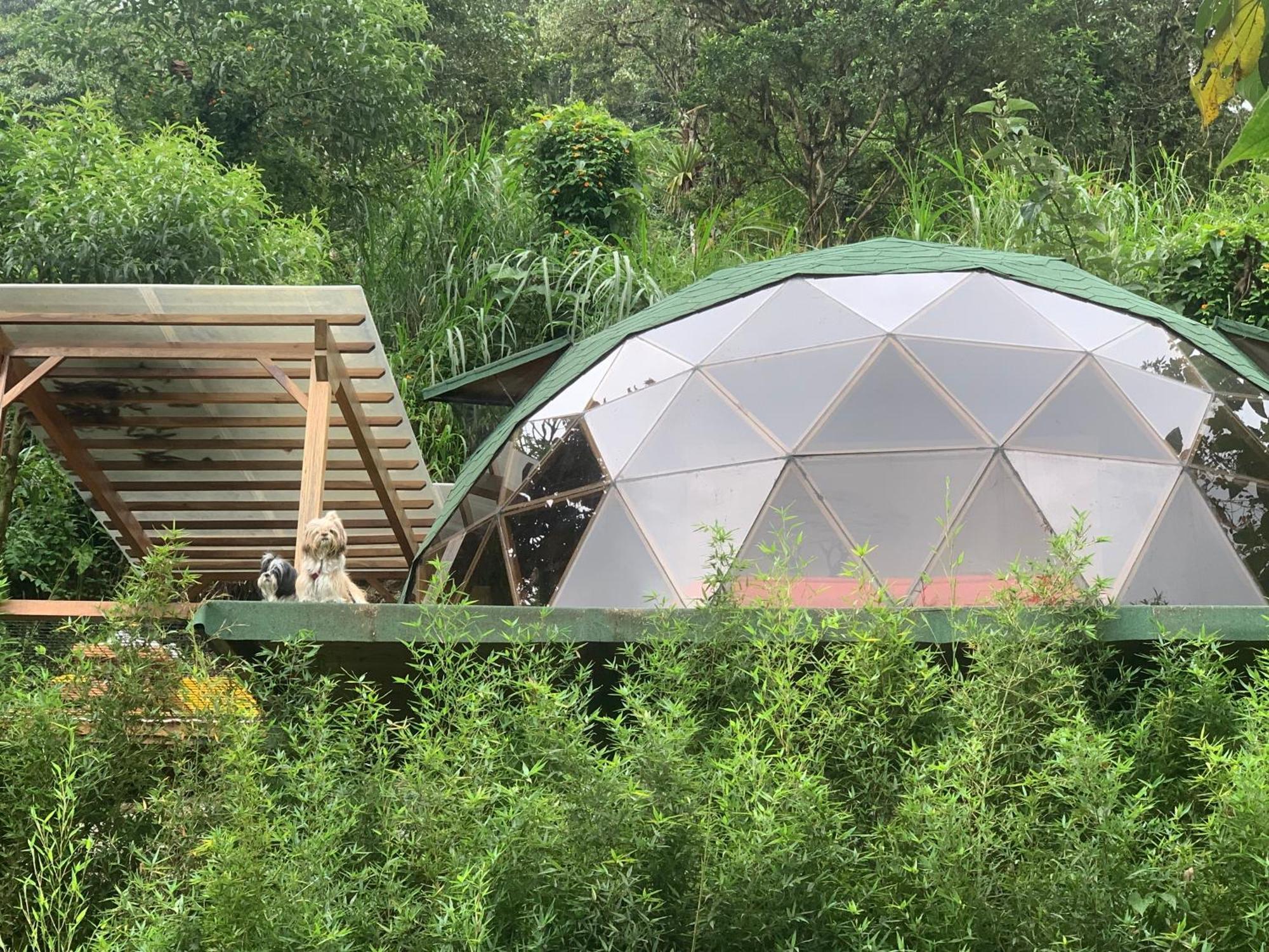Magic Elf Glamping Apartment Mindo Exterior foto